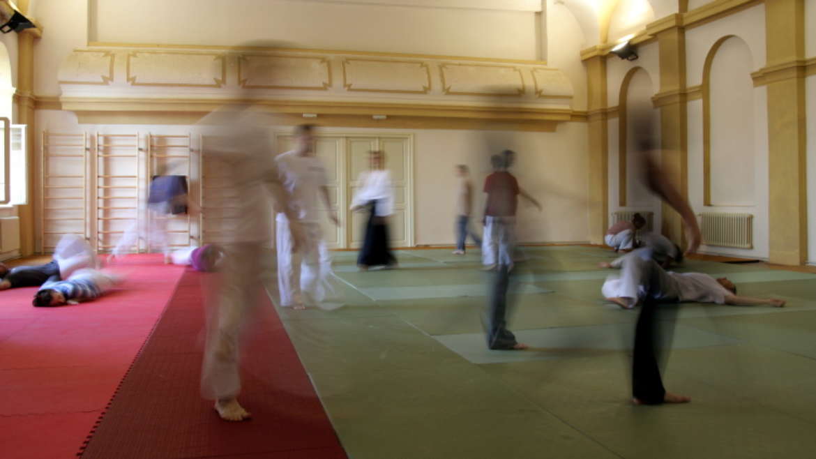 Letní škola aikido v Třešti, srpen 2009