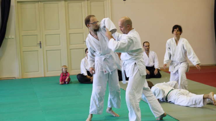 Summer school in Třešť, 2013