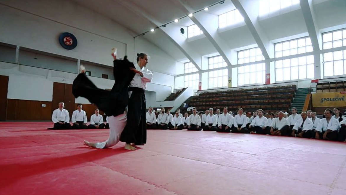 Ukázky učitelů České federace aikido