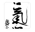 Aikido: Art for Life (on Substack)