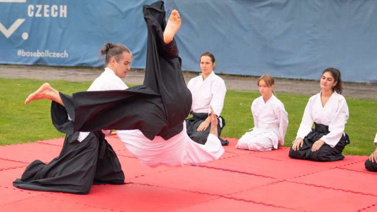 Aikido at the Japanese Autumn Festival