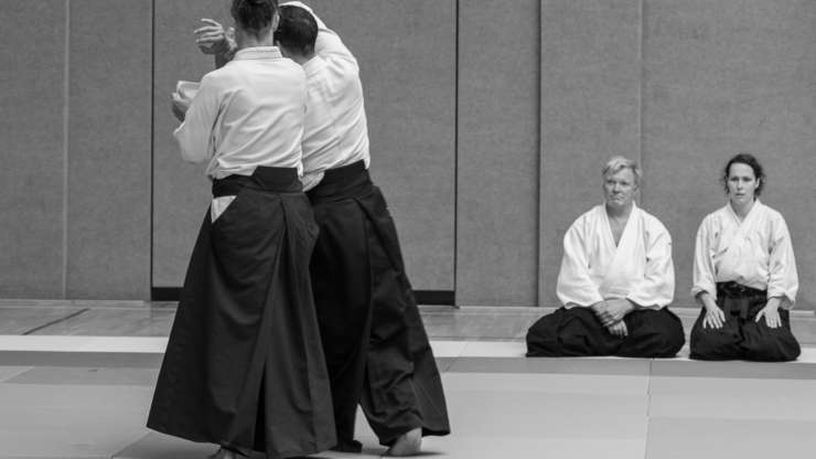 80 beatiful photos of Aikido