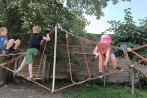 IMG_20250703_100636