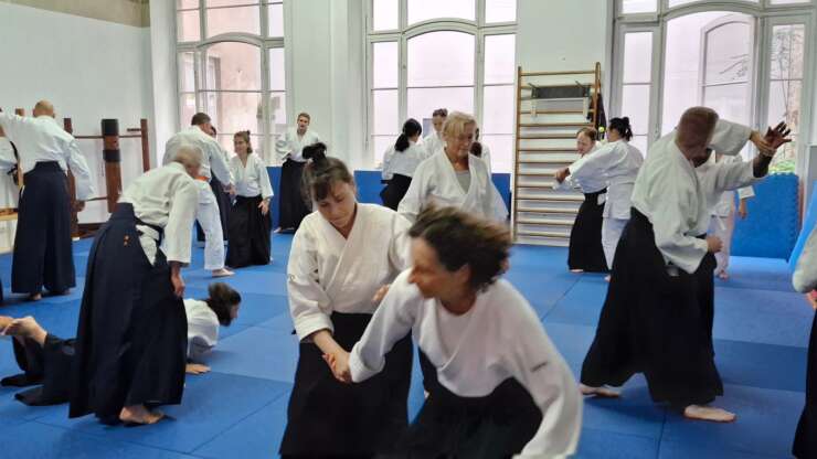 Summer aikido in Berlin