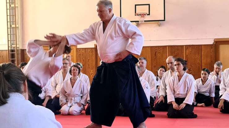 Aikido with a touch of philosophy.