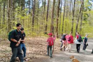 IMG_20260425_153558
